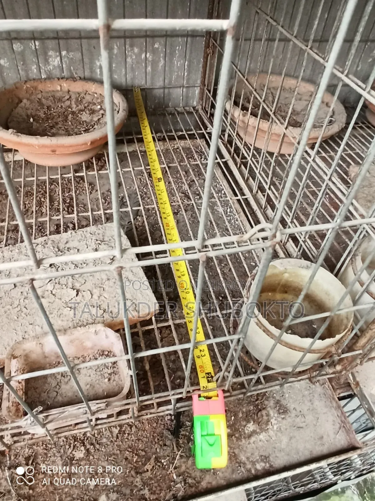 Pigeon Cage