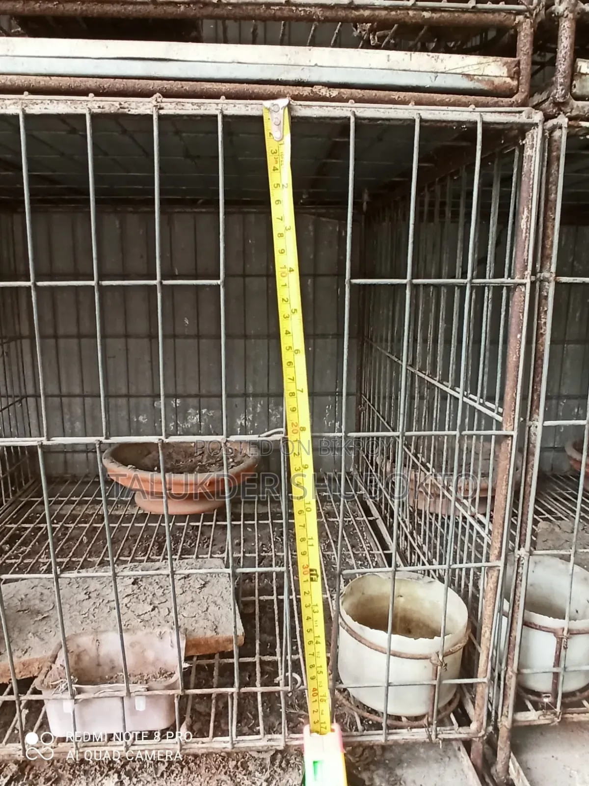 Pigeon Cage