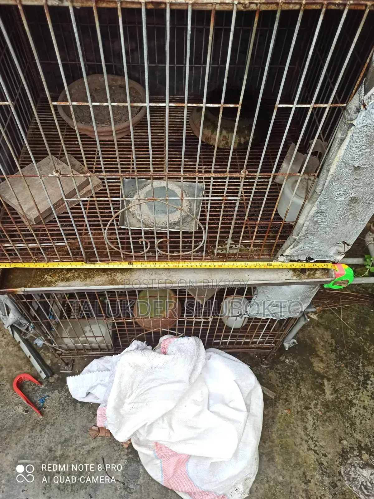 Pigeon Cage