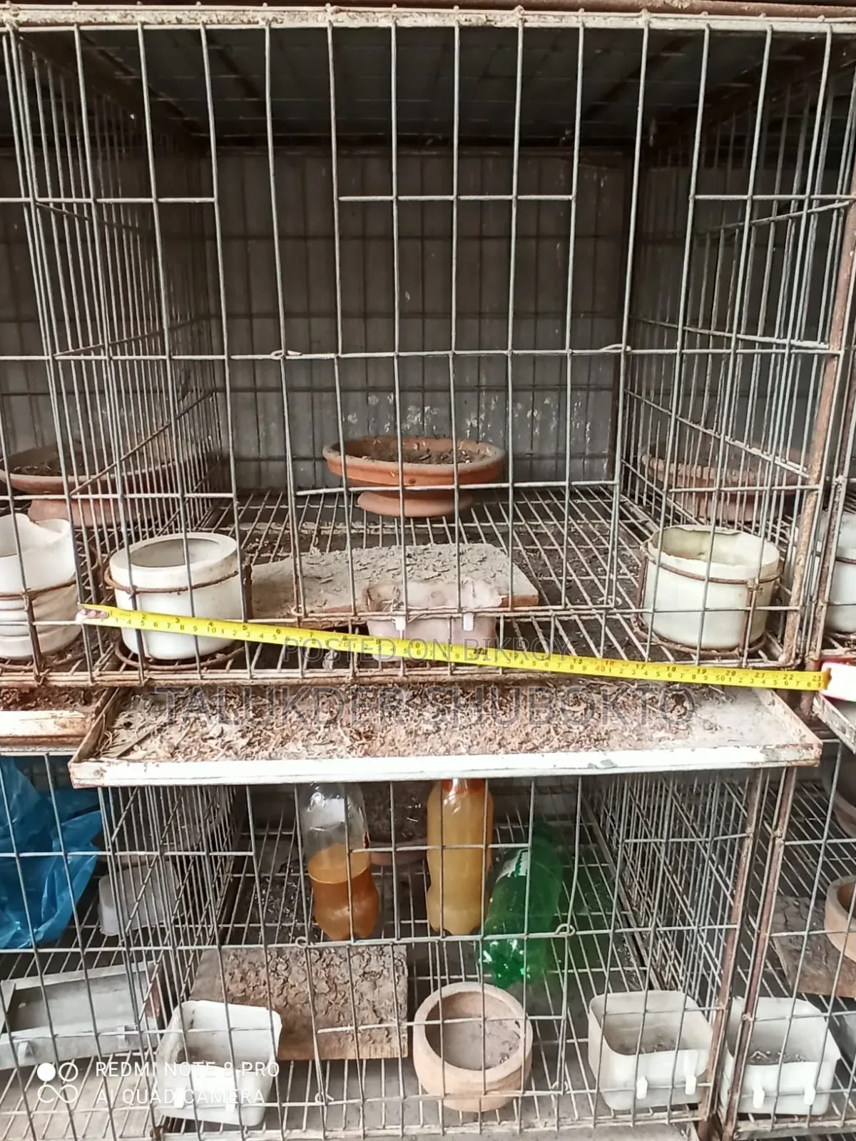 Pigeon Cage