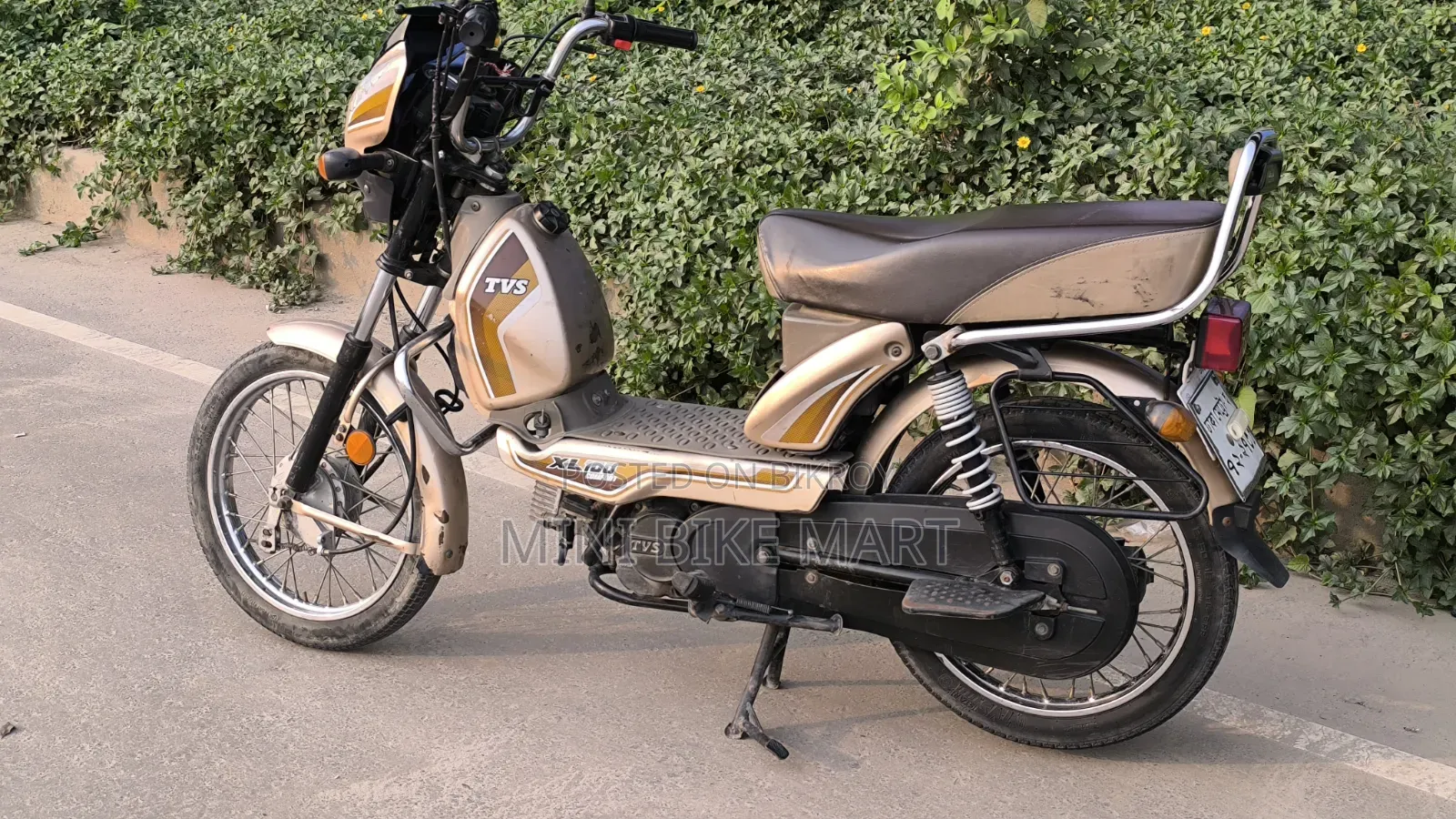 TVS XL 100 Comfort 2022 Gold