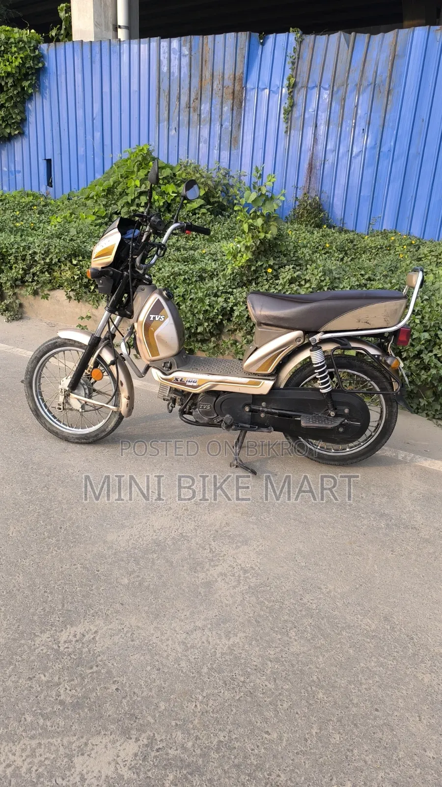 TVS XL 100 Comfort 2022 Gold