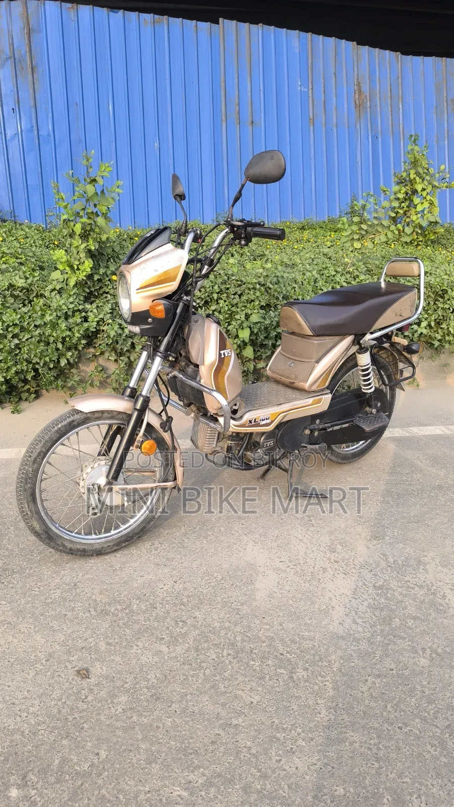 TVS XL 100 Comfort 2022 Gold