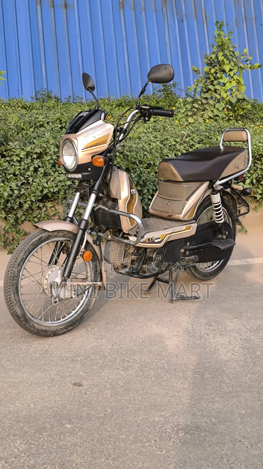 TVS XL 100 Comfort 2022 Gold