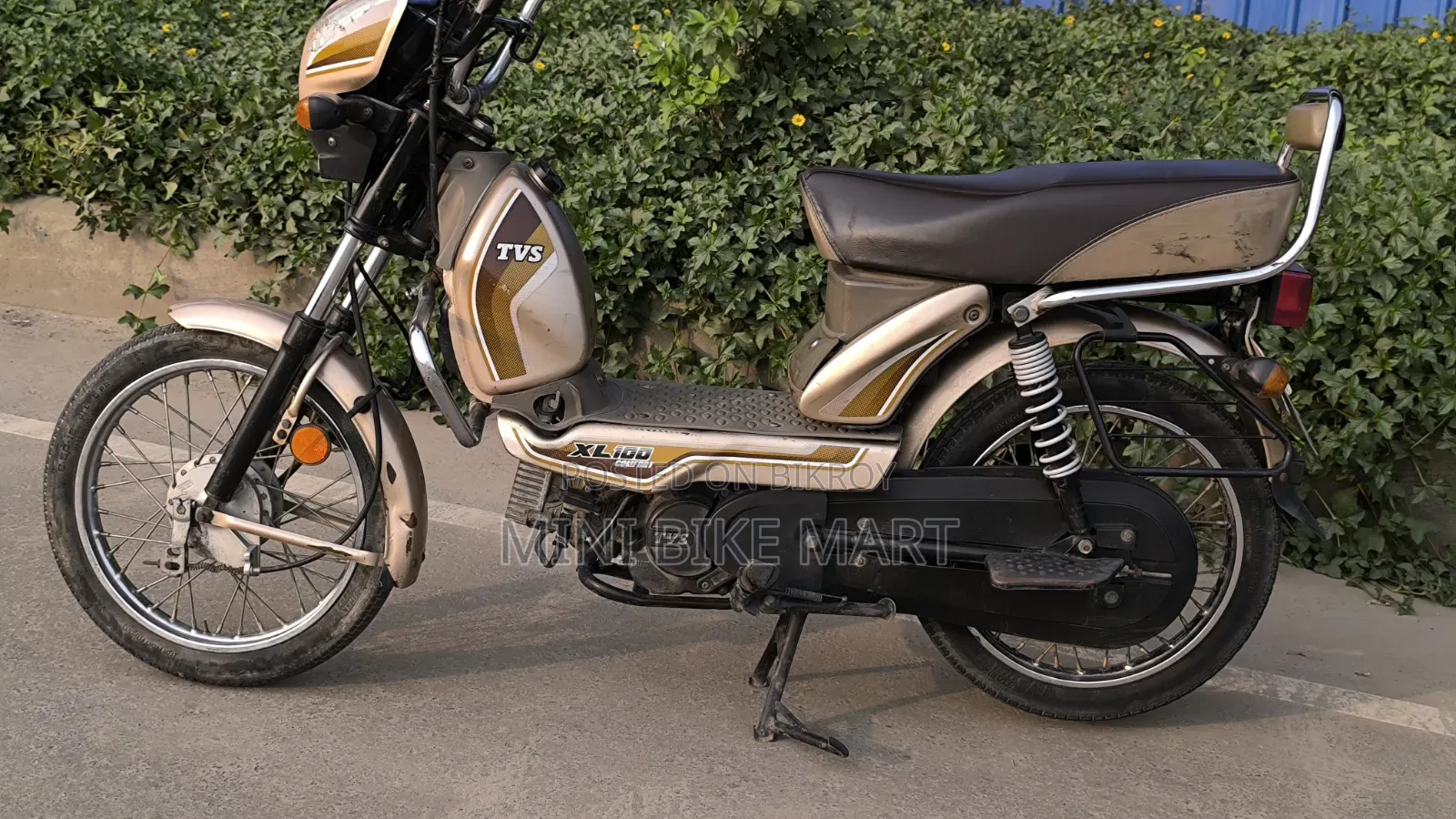 TVS XL 100 Comfort 2022 Gold