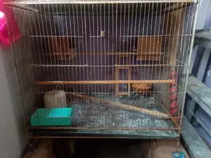 18/24 Rod Frame Cage