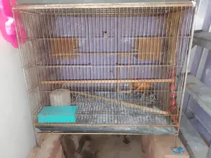 18/24 Rod Frame Cage