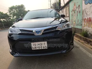 Toyota Corolla Fielder 2020 Black