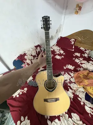 Guitar Brand New