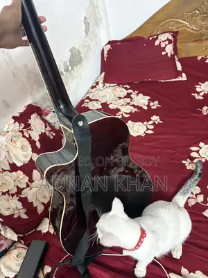Guitar Brand New
