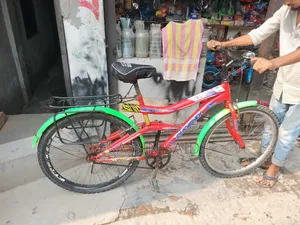 Non-Gear Bicycle