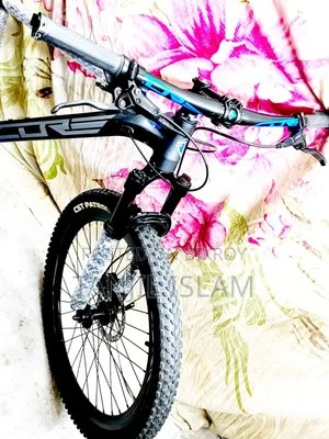 বাই সাইকেল