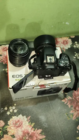 Canon 250d With 50mm