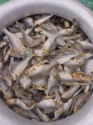লইট্টা শুঁটকি ১ কেজি – পরিষ্কার ও হালাল