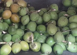 কম খরচে ভালো মানের ডাব নিতে পারবেন।