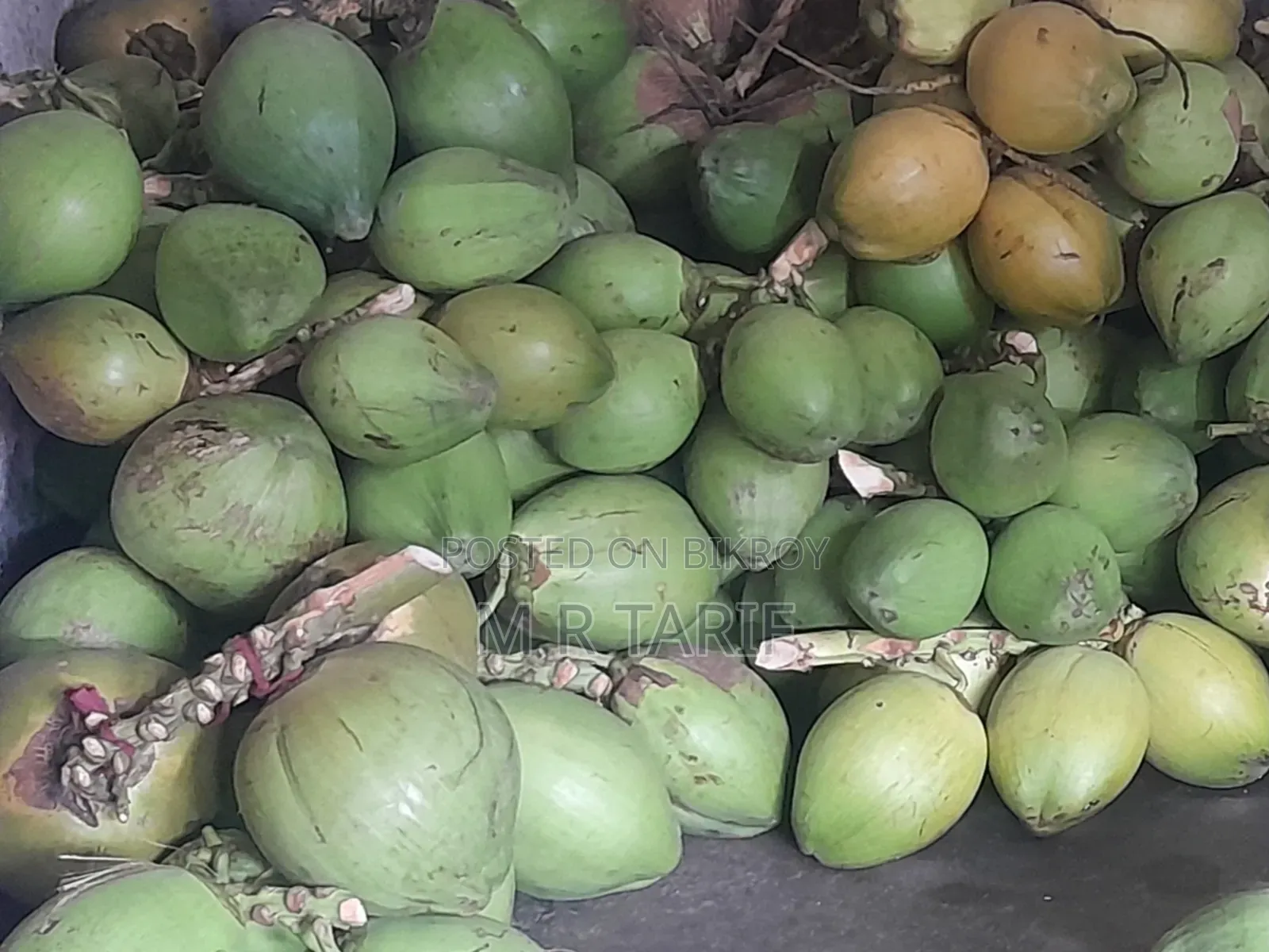 কম খরচে ভালো মানের ডাব নিতে পারবেন।