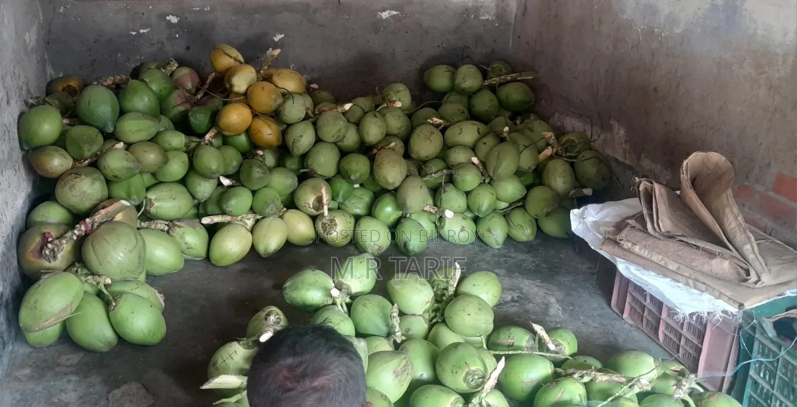 কম খরচে ভালো মানের ডাব নিতে পারবেন।