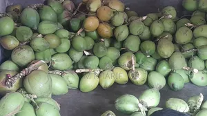 কম খরচে ভালো মানের ডাব নিতে পারবেন।