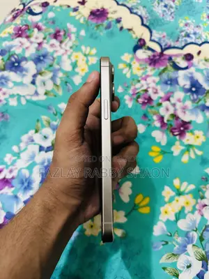অ্যাপল আইফোন ১৫ প্রো ম্যাক্স ২৫৬ জিবি