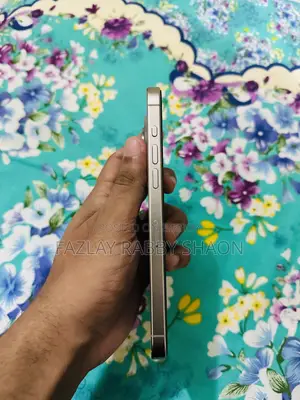 অ্যাপল আইফোন ১৫ প্রো ম্যাক্স ২৫৬ জিবি