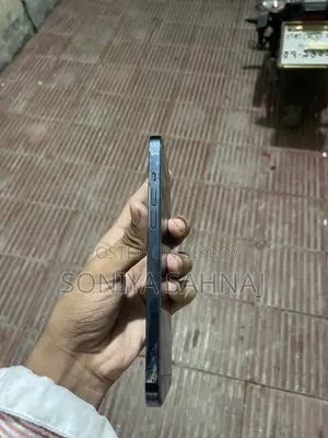 Apple iPhone 12 Pro Max 256 GB Blue