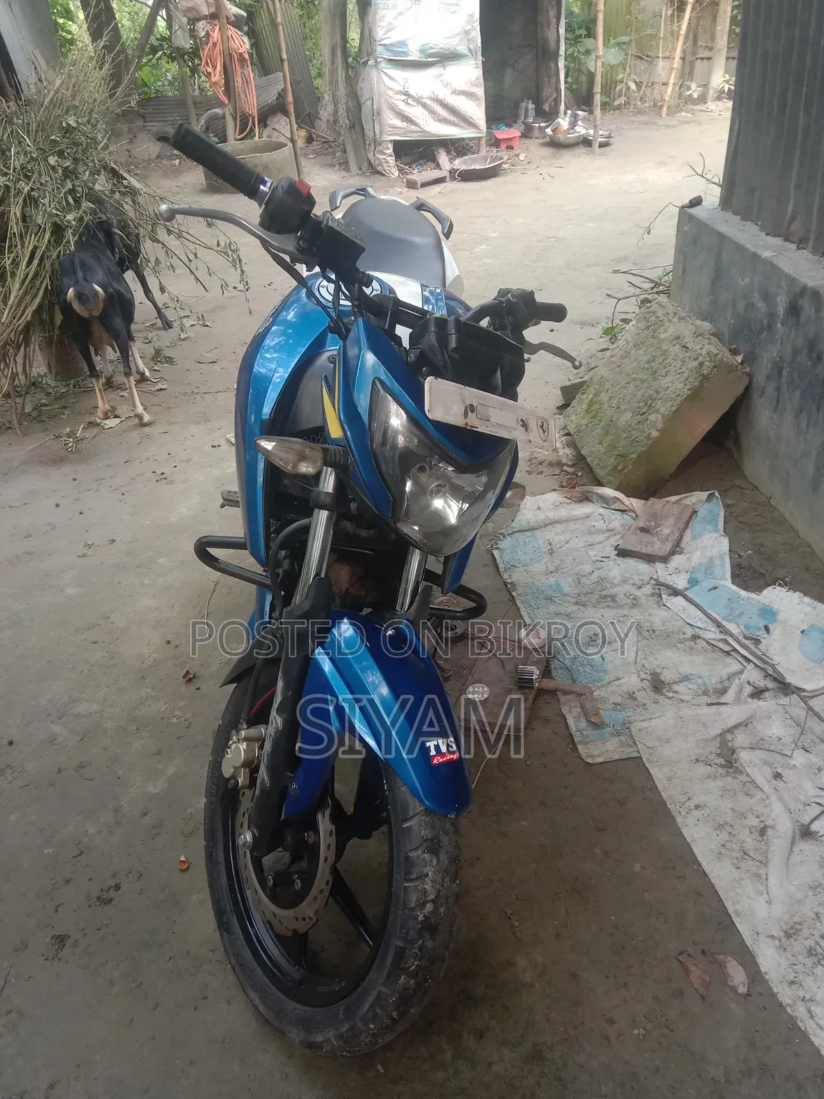 টিভিএস আপাচি ১৬০ ৪ভি ২০১৯ সবুজ