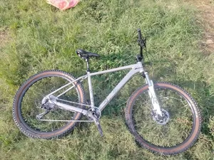 Custom Built Bicycle