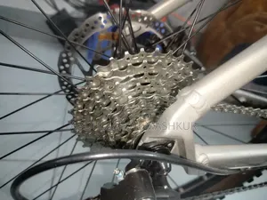 Custom Built Bicycle