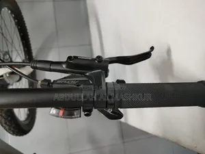 Custom Built Bicycle