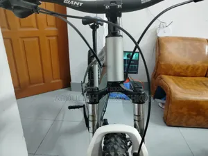 Custom Built Bicycle