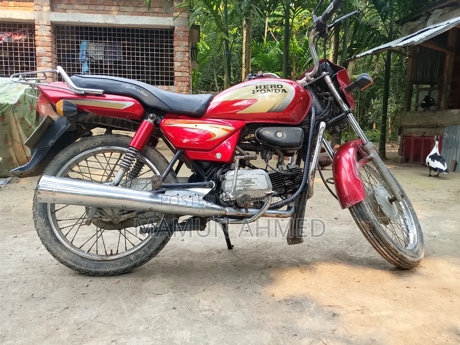Hero Splendor Plus 2009 Red