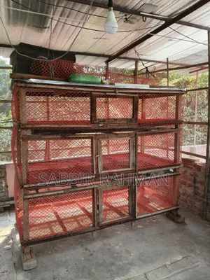 Cage for Sale