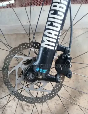 Focus 29" Full Customized