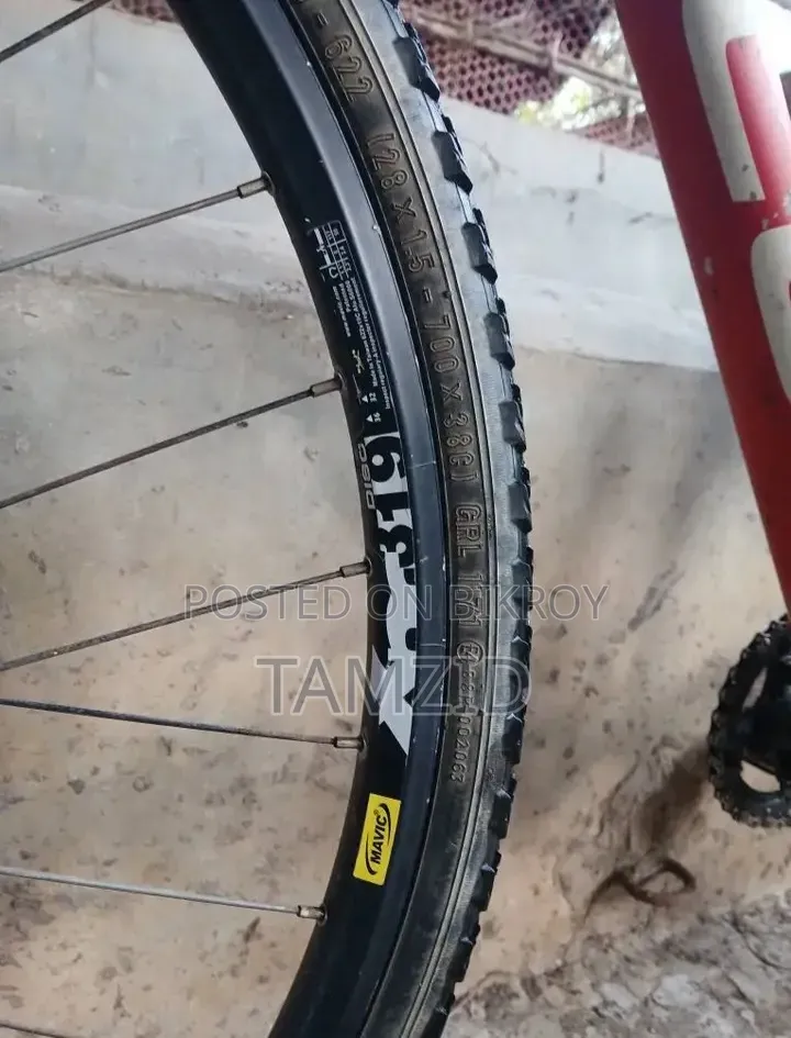 Focus 29" Full Customized