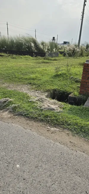 Sector - 7, Road - 301/E, Government Service Category 5 Katha Allotted Plot