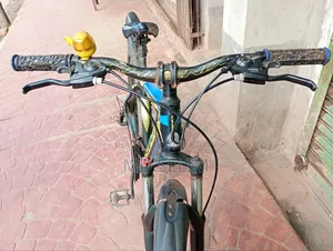 Phoenix Gear Bicycle