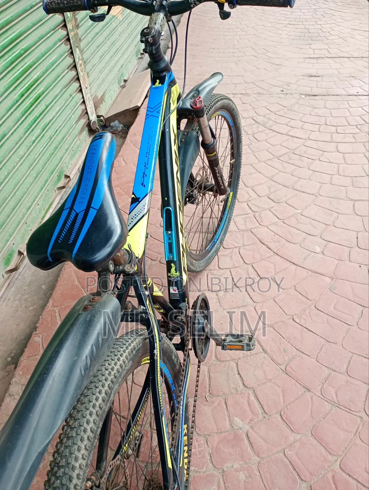 Phoenix Gear Bicycle