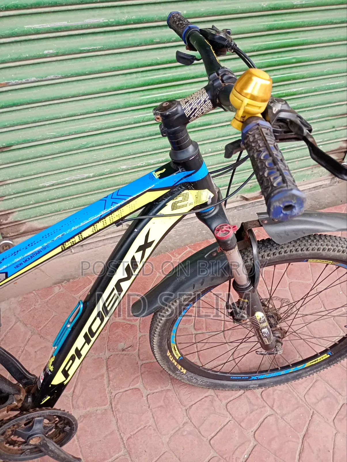 Phoenix Gear Bicycle