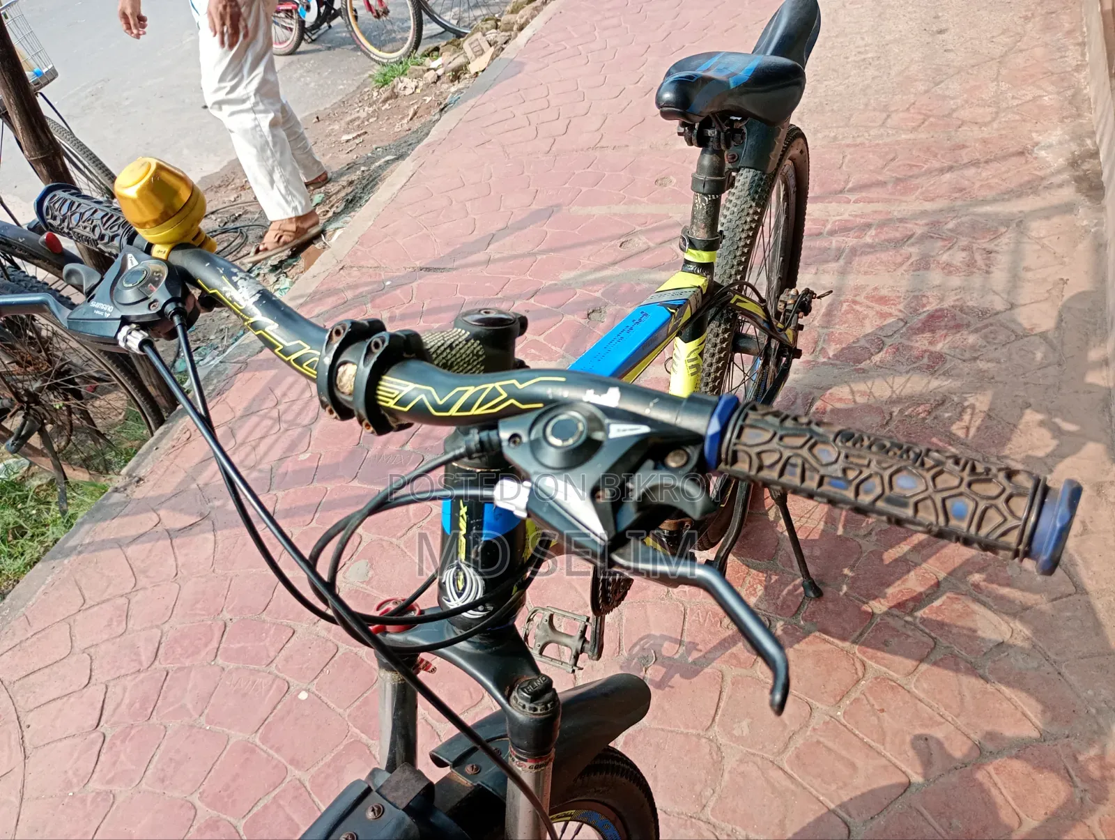 Phoenix Gear Bicycle