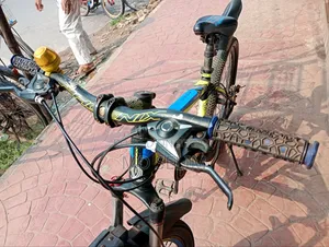 Phoenix Gear Bicycle