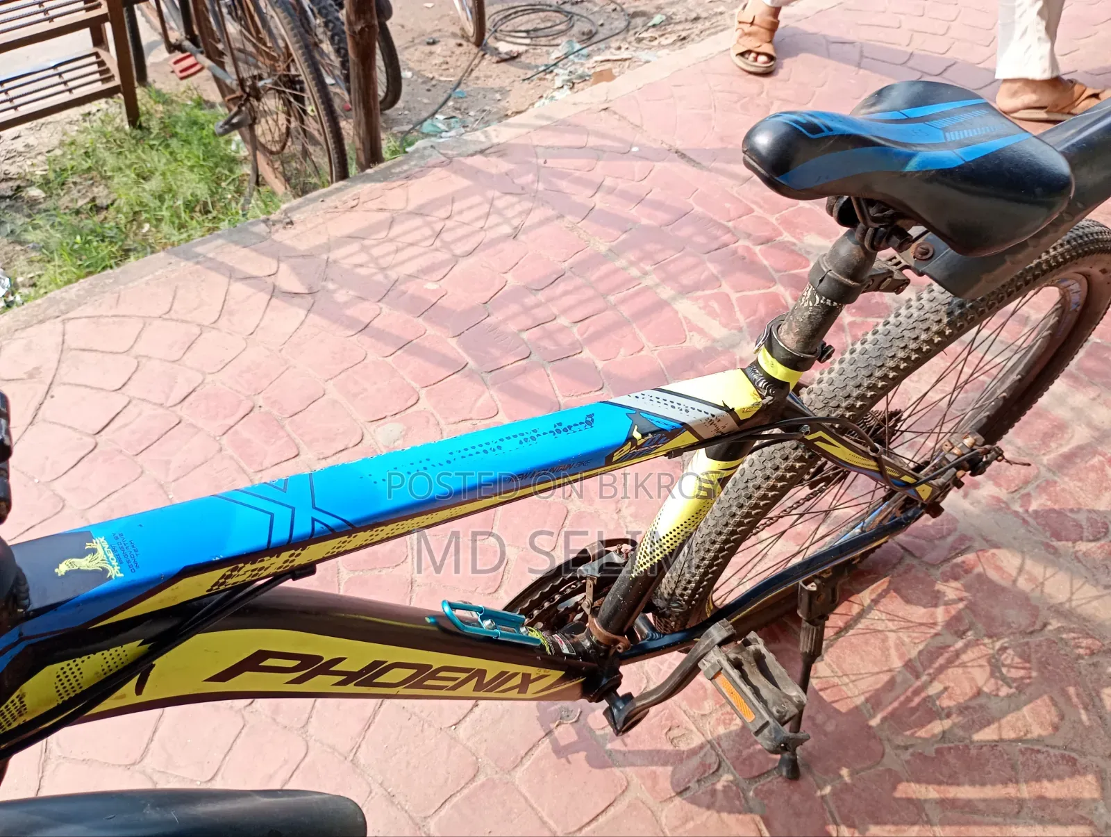 Phoenix Gear Bicycle