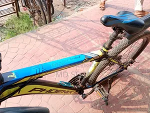 Phoenix Gear Bicycle