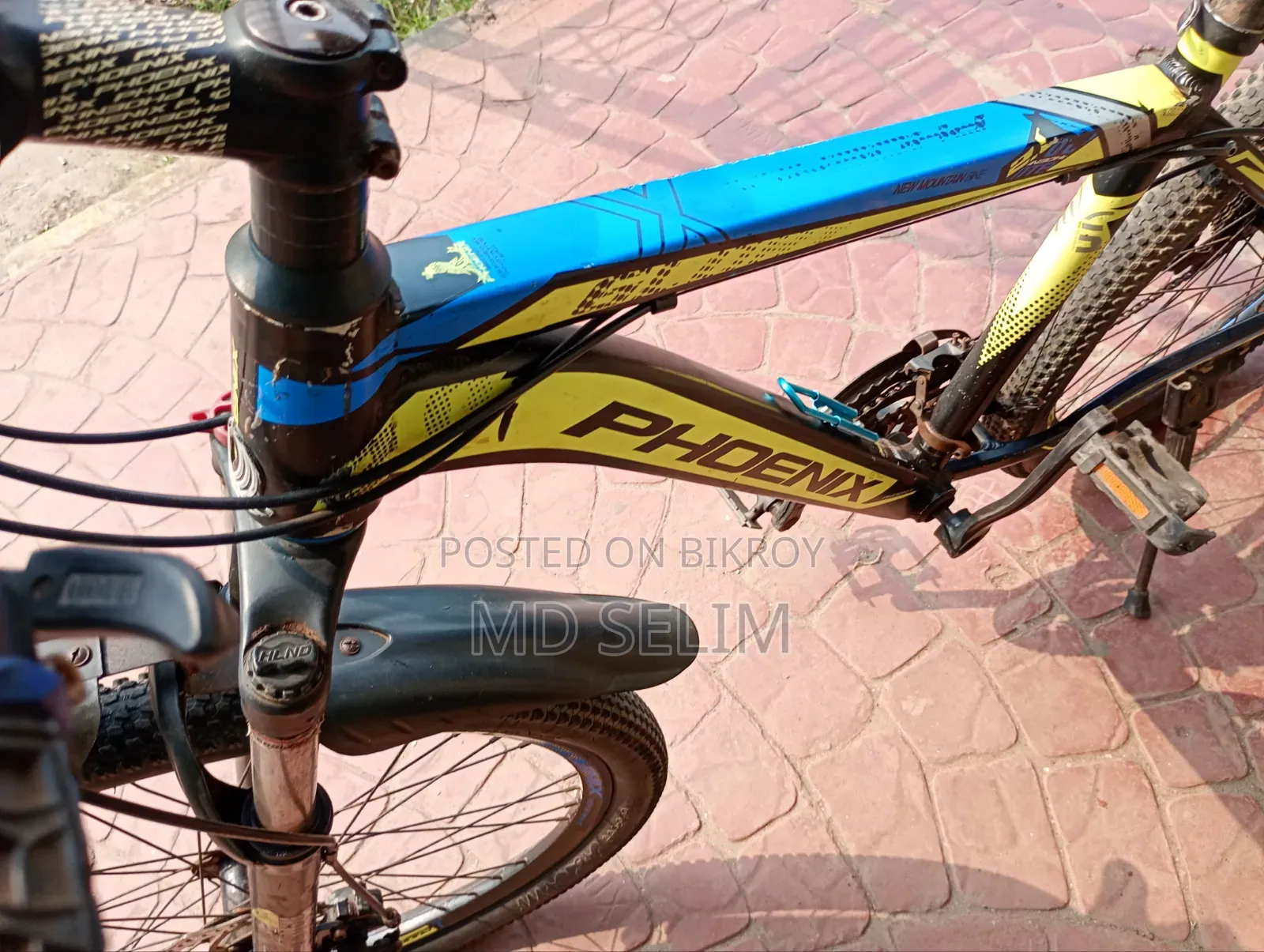 Phoenix Gear Bicycle