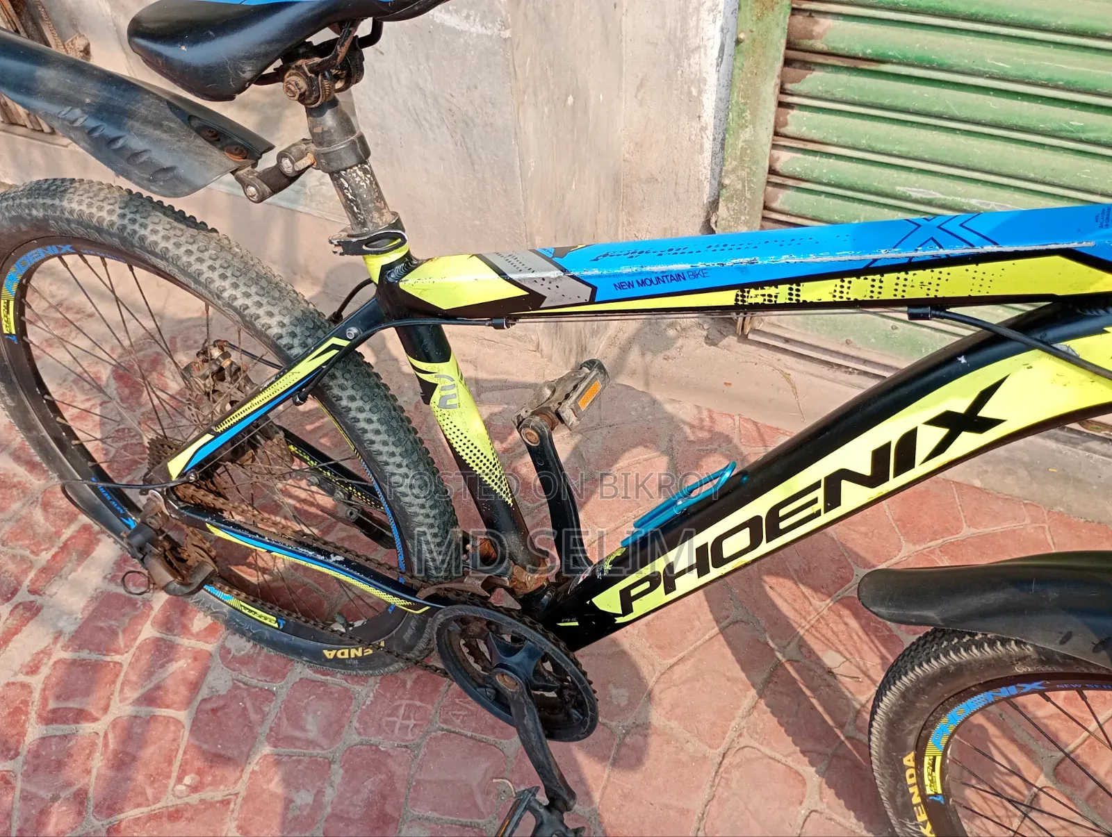 Phoenix Gear Bicycle
