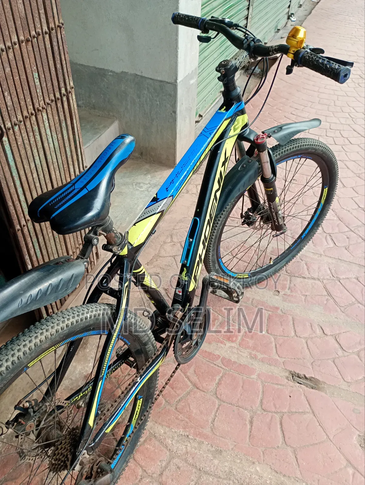 Phoenix Gear Bicycle