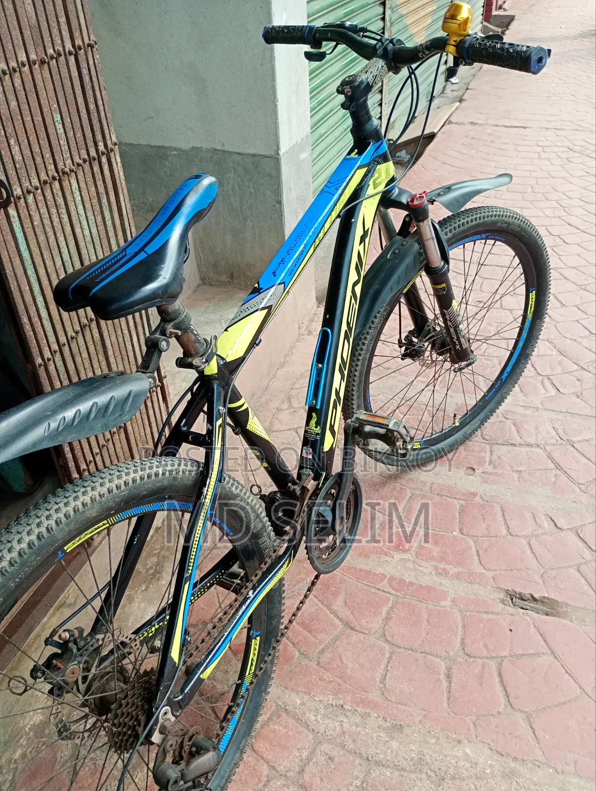 Phoenix Gear Bicycle
