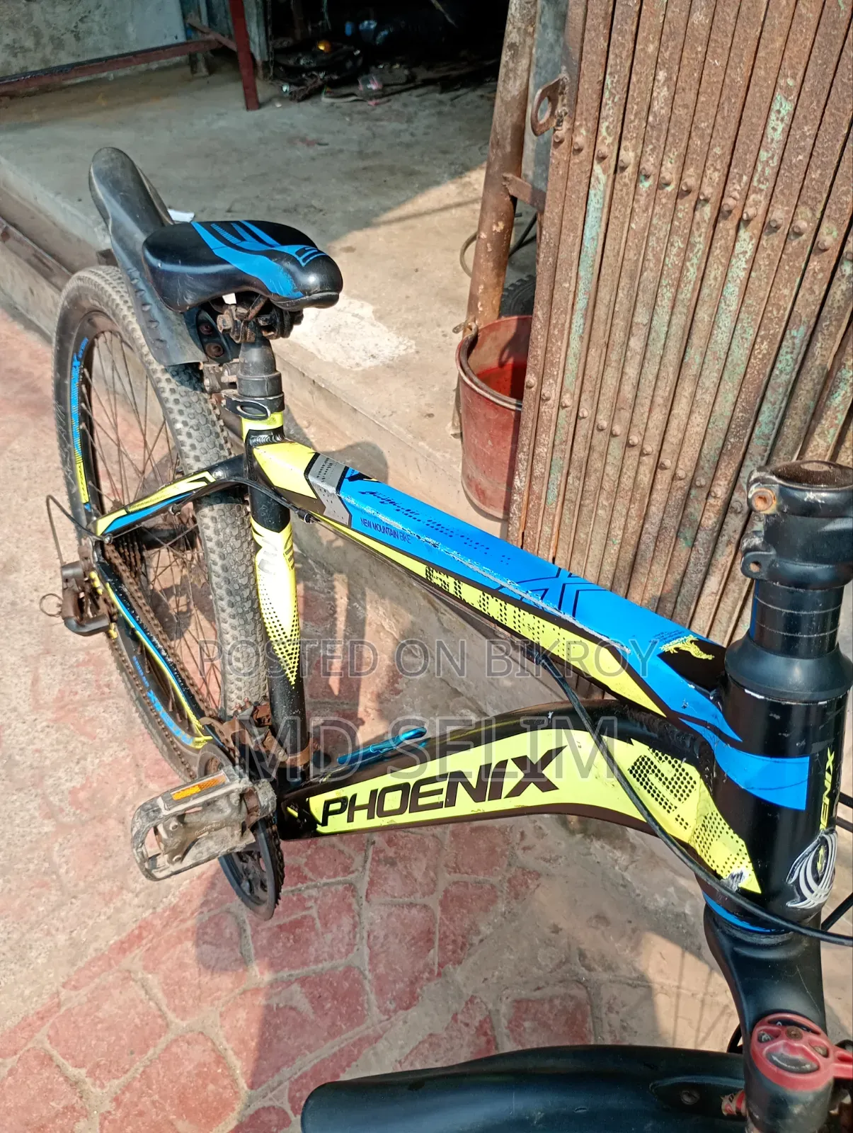 Phoenix Gear Bicycle