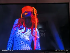 43 Inch Sony Bravia TV