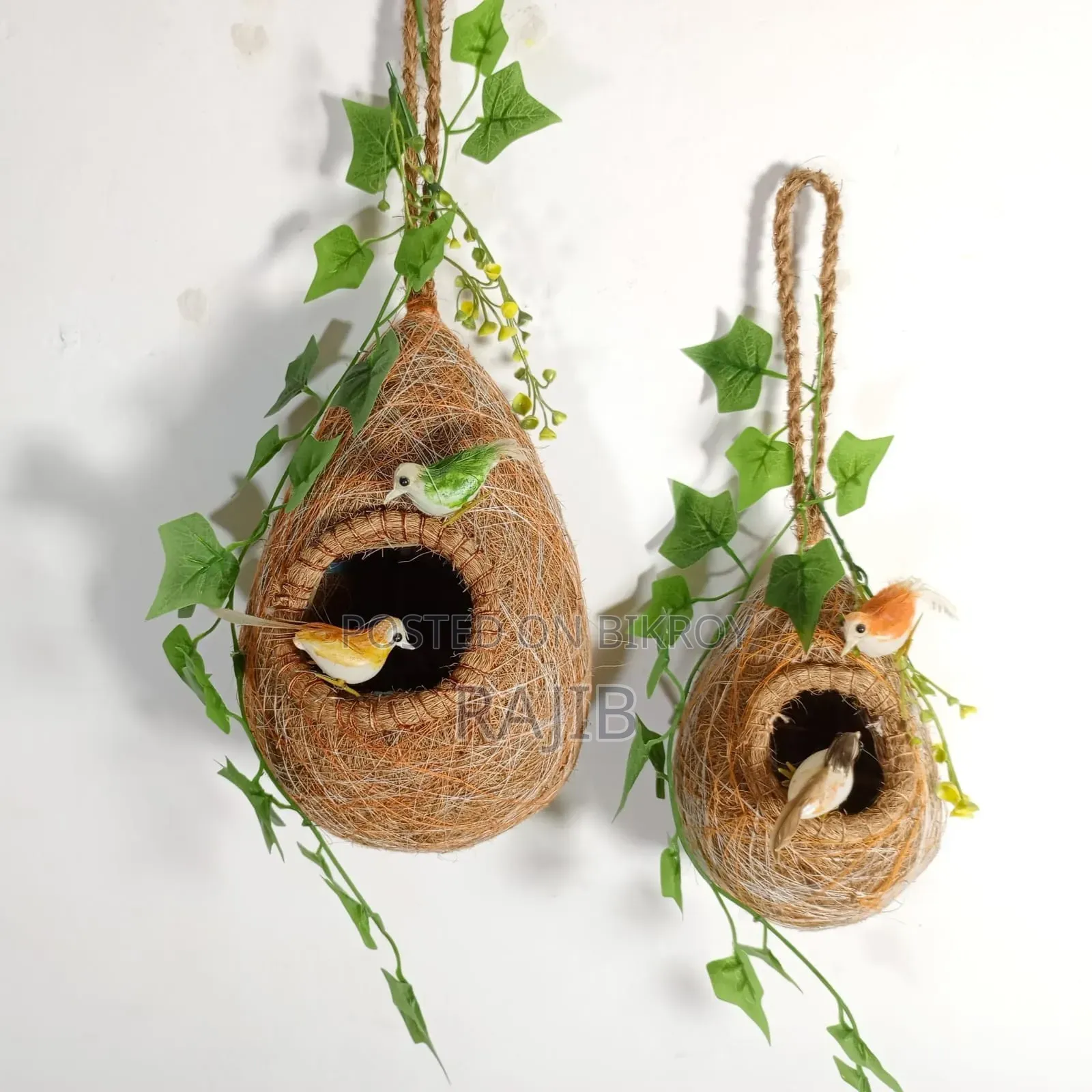 Babar Pakhi Nest