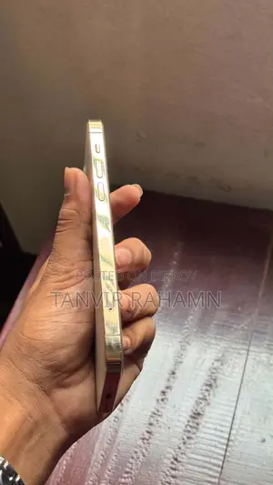 অ্যাপল আইফোন ১২ প্রো ১২৮ জিবি রোজ গোল্ড